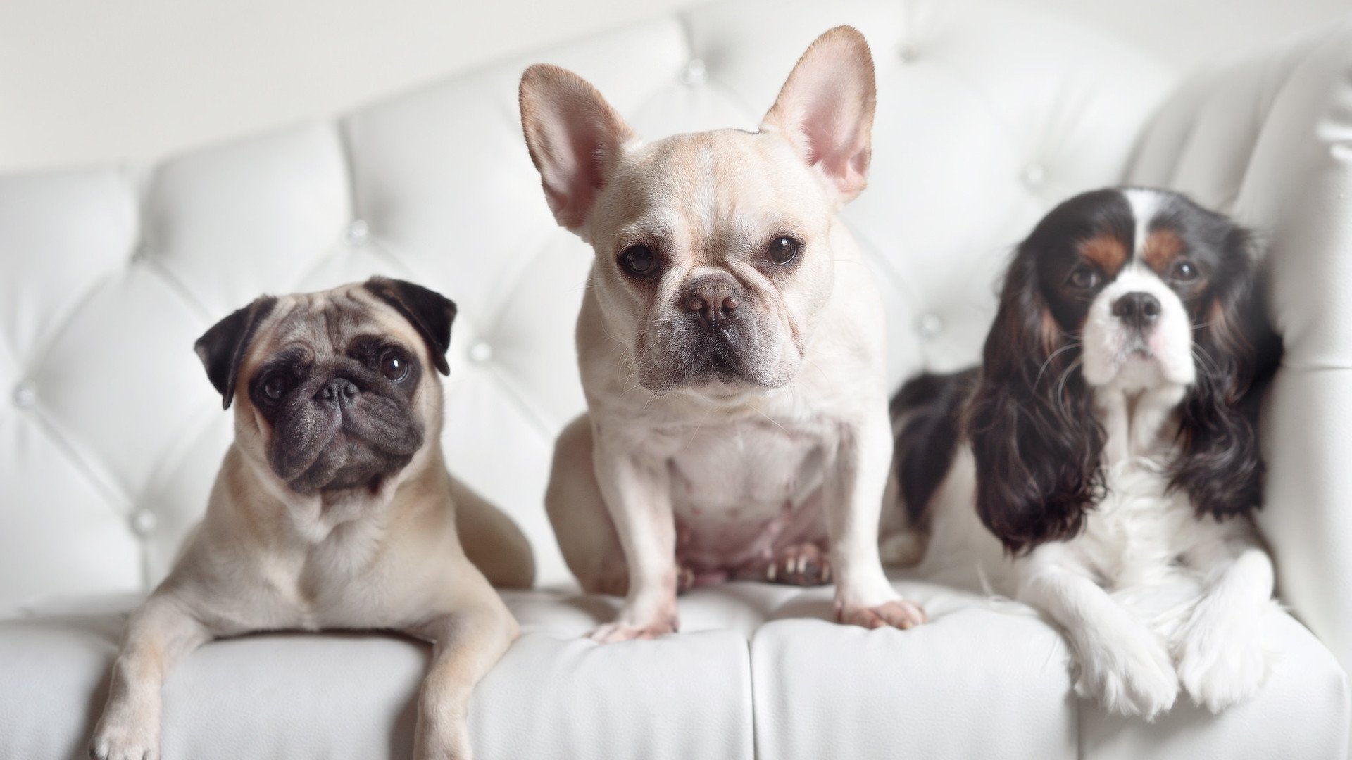 世界杯逆转大戏：英雄再现，奇迹归来！，世界杯瞬间