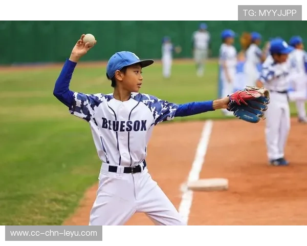 棒球青少年训练标准手册编制完成，2020青少年棒球比赛